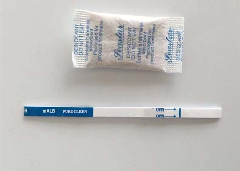PUROCLEEN Early Pregnancy Test Strips, 10Pcs Household Early Pregnancy Test Strips HCG Urine Testing Early Pregnancy Test