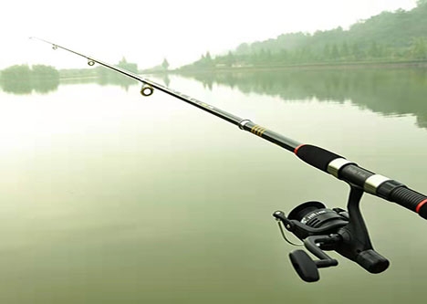 Holy Fish Fishing Rod and Reel