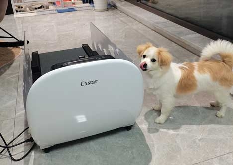 Cxstar Dog Training Motorized Running Machine for pets